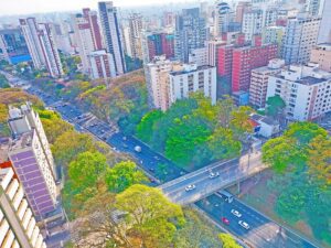 faixa azul 23 de maio site - Foto Riselda Morais