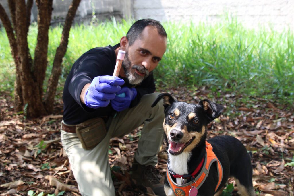 Savana e Machado - SSPSP